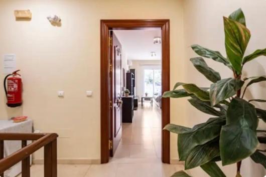 מאלגה Apartamento En Primera Linea De Playa El Palo מראה חיצוני תמונה